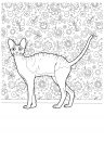 coloring_pages/cats/cat_ 22.jpg